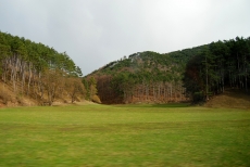 20100327 152236.jpg